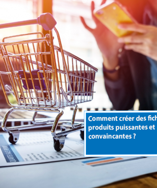 découvrez comment rédiger des fiches produits pour votre boutique en ligne